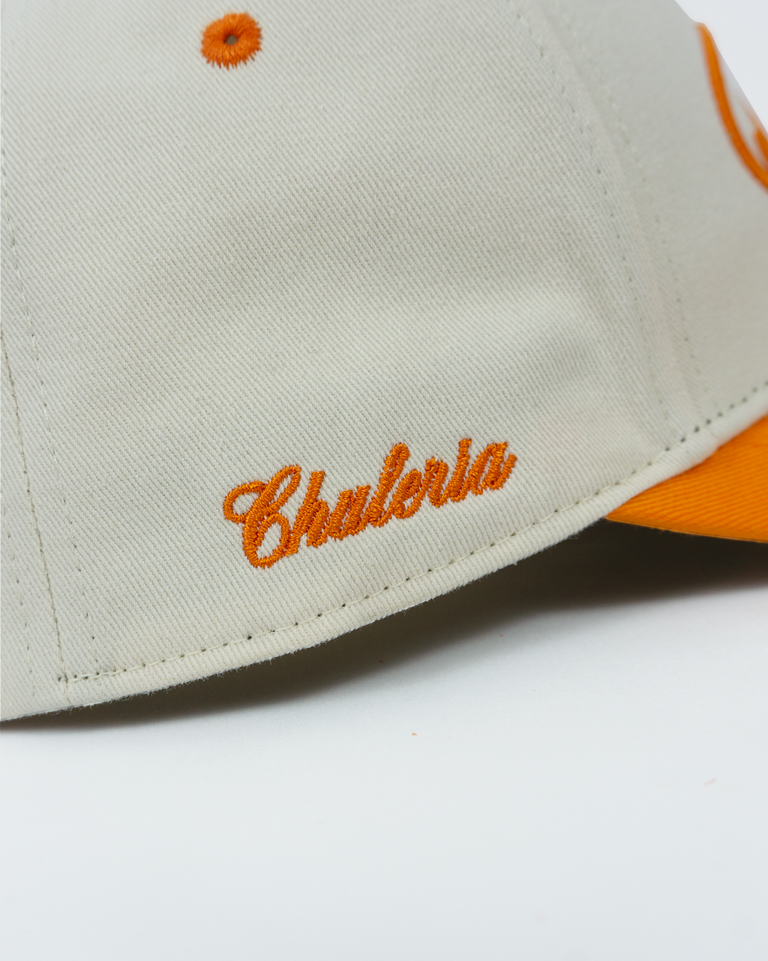 ACHI Emblem Hat